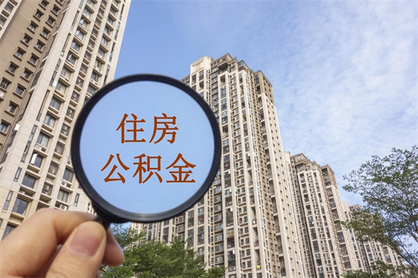 无棣辞职了补充公积金能取不（辞职后补充公积金如何提取）